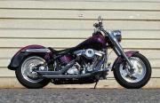 1993 Fatboy.jpg